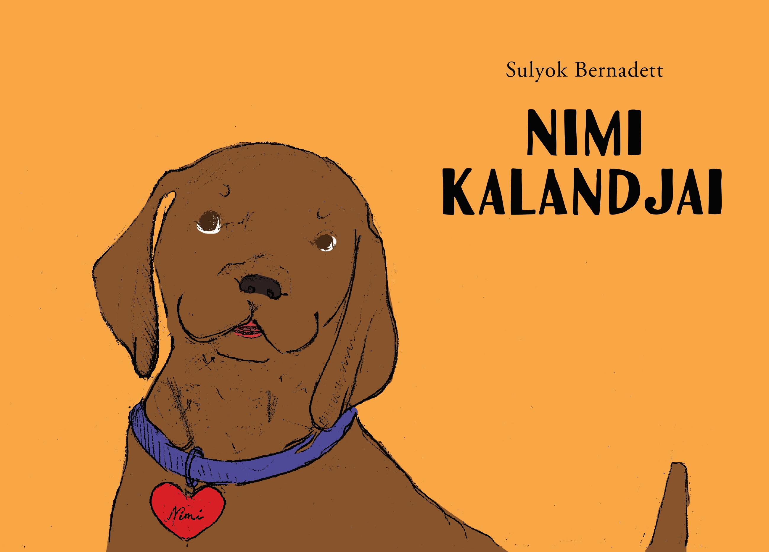 Sulyok Bernadett: Nimi kalandjai